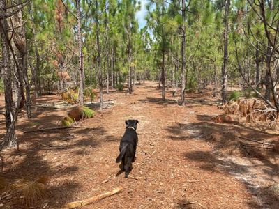 Ppf 6 Payne Pond Road, Unit Ppf 6, Westville, SC 29175