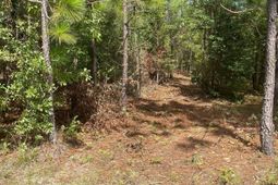 Ppf 6 Payne Pond Road photo 4