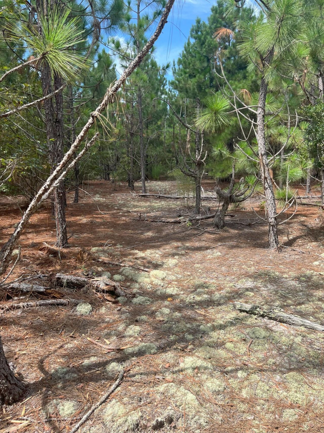 Ppf 6 Payne Pond Road Photo 4