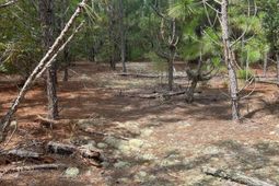 Ppf 6 Payne Pond Road photo 4