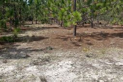 Ppf 6 Payne Pond Road photo 4