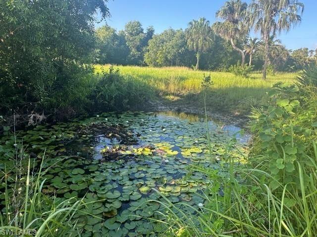 Island Ridge Rd, Bokeelia, FL 33922 Photo