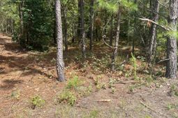 Ppf 8 Payne Pond Road photo 4