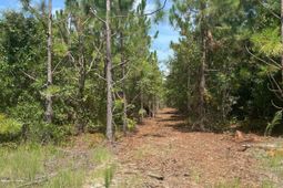 Ppf 8 Payne Pond Road photo 4