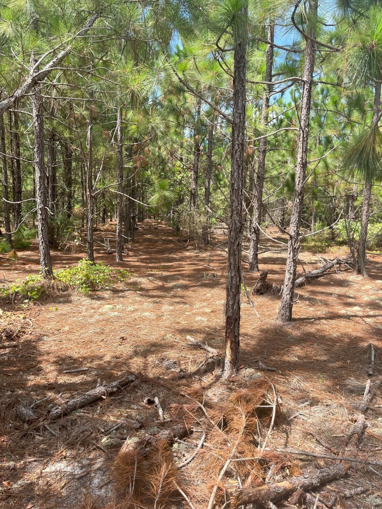 Ppf 8 Payne Pond Road Photo 5