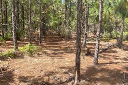 Ppf 8 Payne Pond Road photo 4