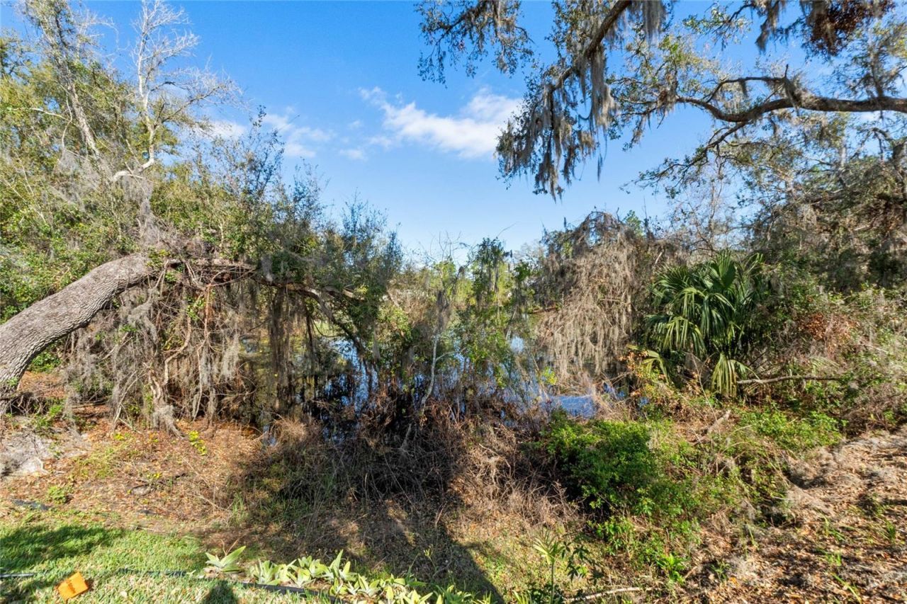 5315 Meadow Song Drive, Okahumpka, FL 34762 Photo