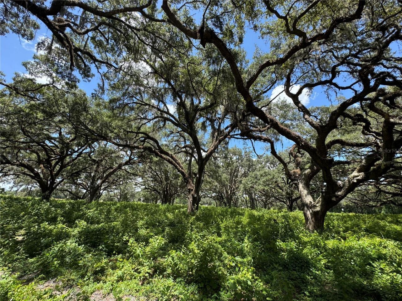 1220 N Us Highway 41, Dunnellon, FL 34432 Photo