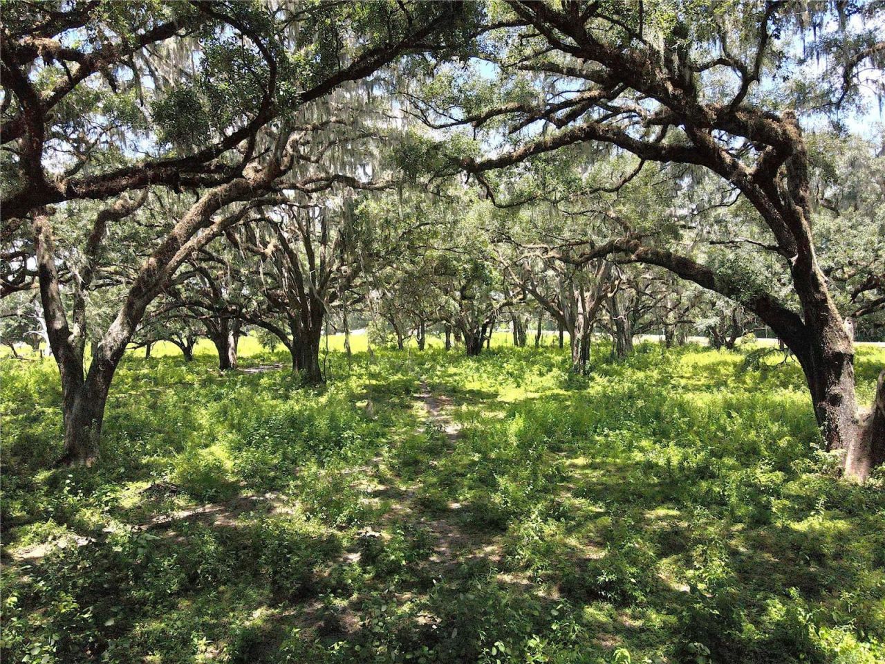 1220 N Us Highway 41, Dunnellon, FL 34432 Photo