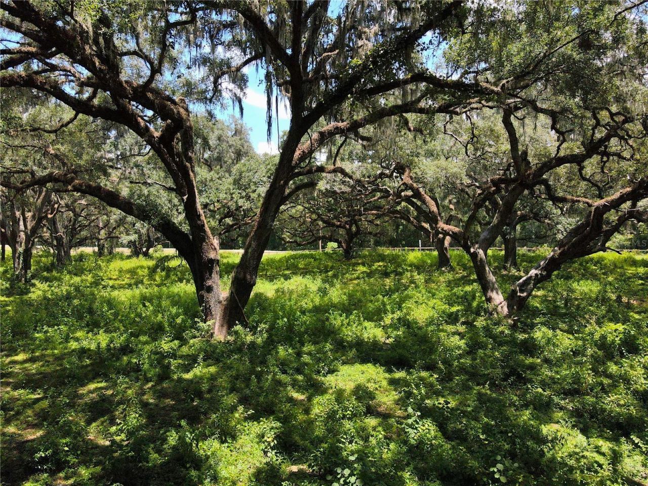 1220 N Us Highway 41, Dunnellon, FL 34432 Photo