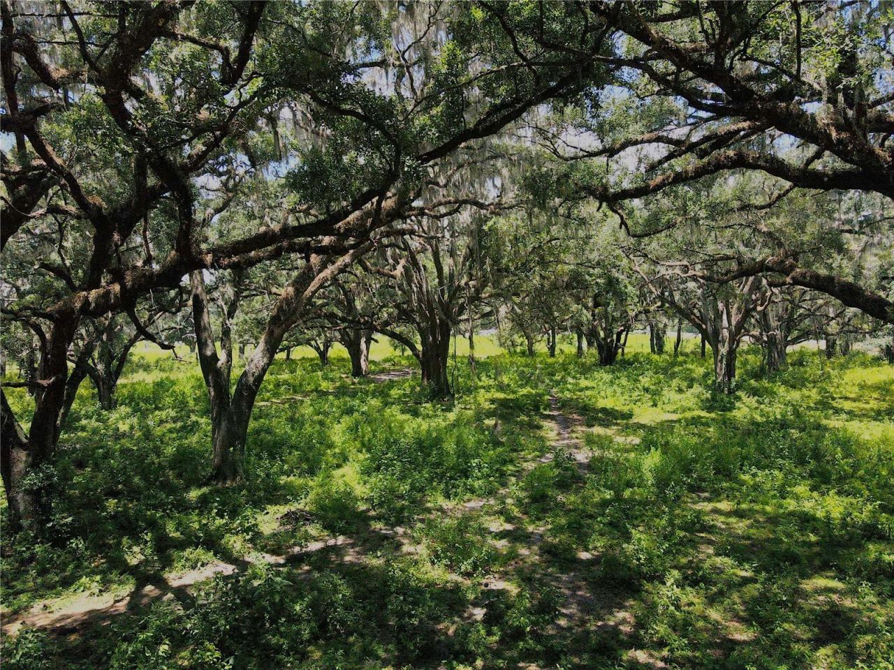 1220 N Us Highway 41, Dunnellon, FL 34432 Photo