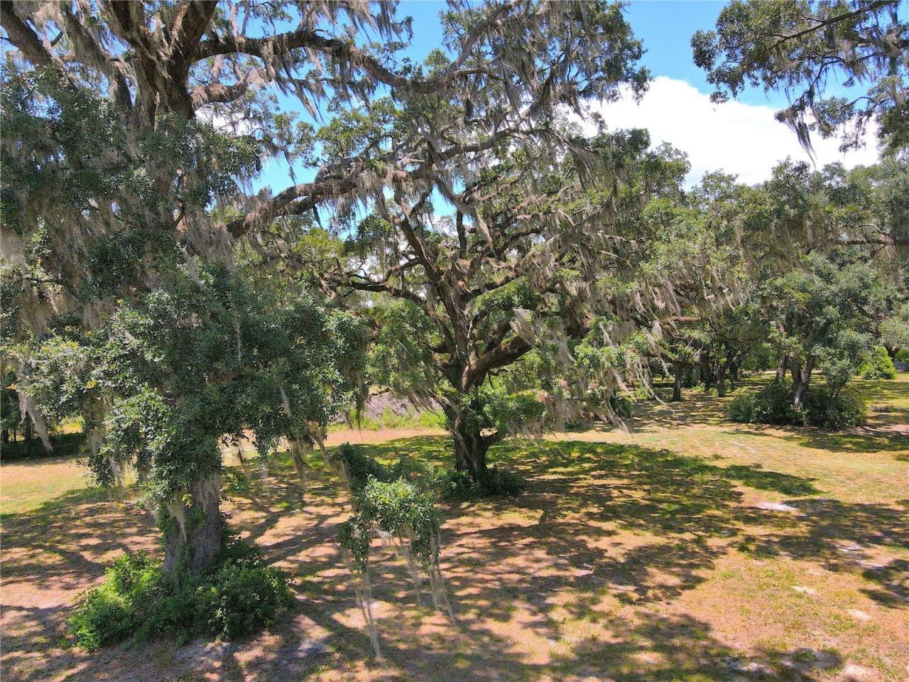 1220 N Us Highway 41, Dunnellon, FL 34432 Photo