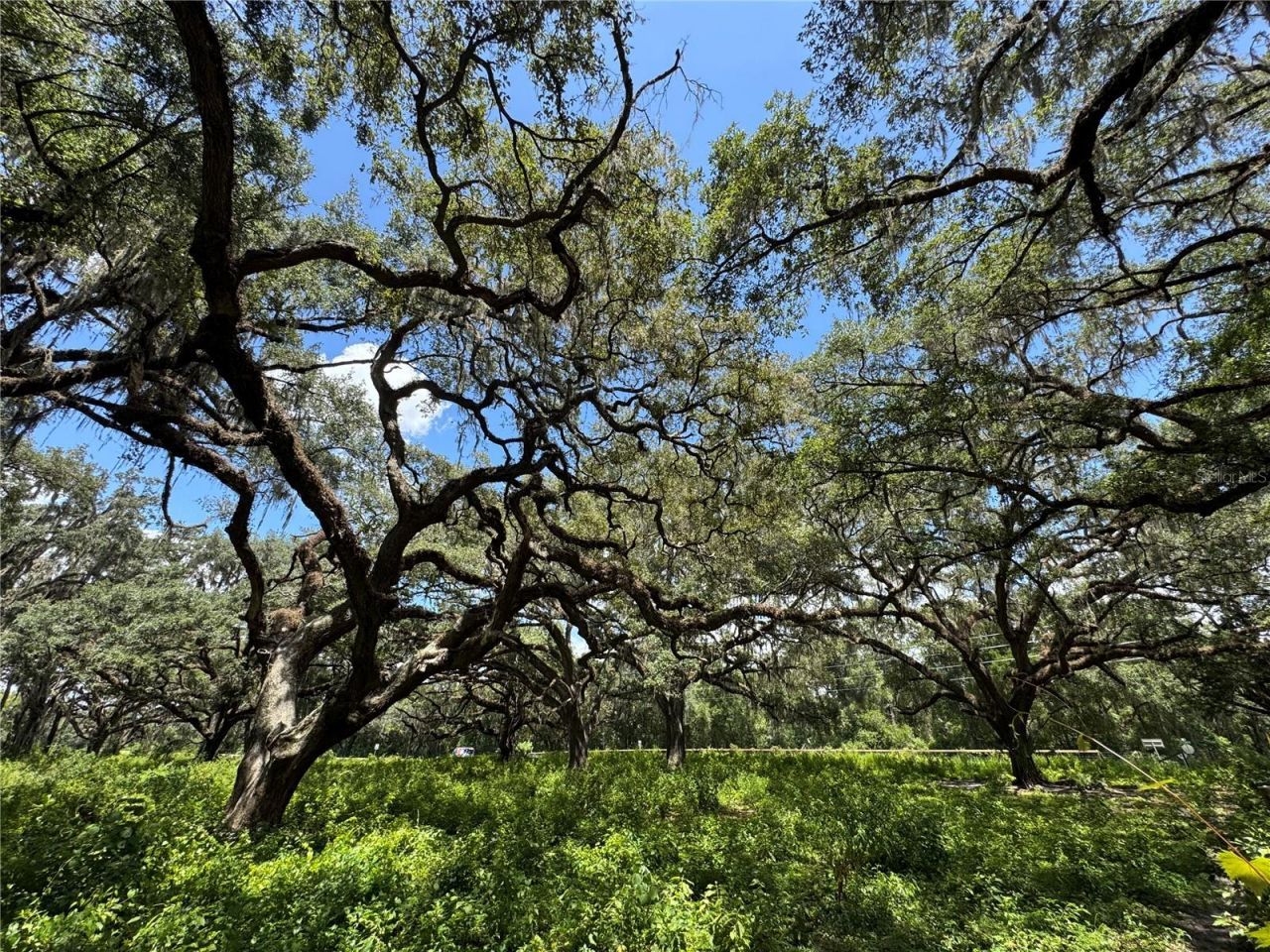 1220 N Us Highway 41, Dunnellon, FL 34432 Photo