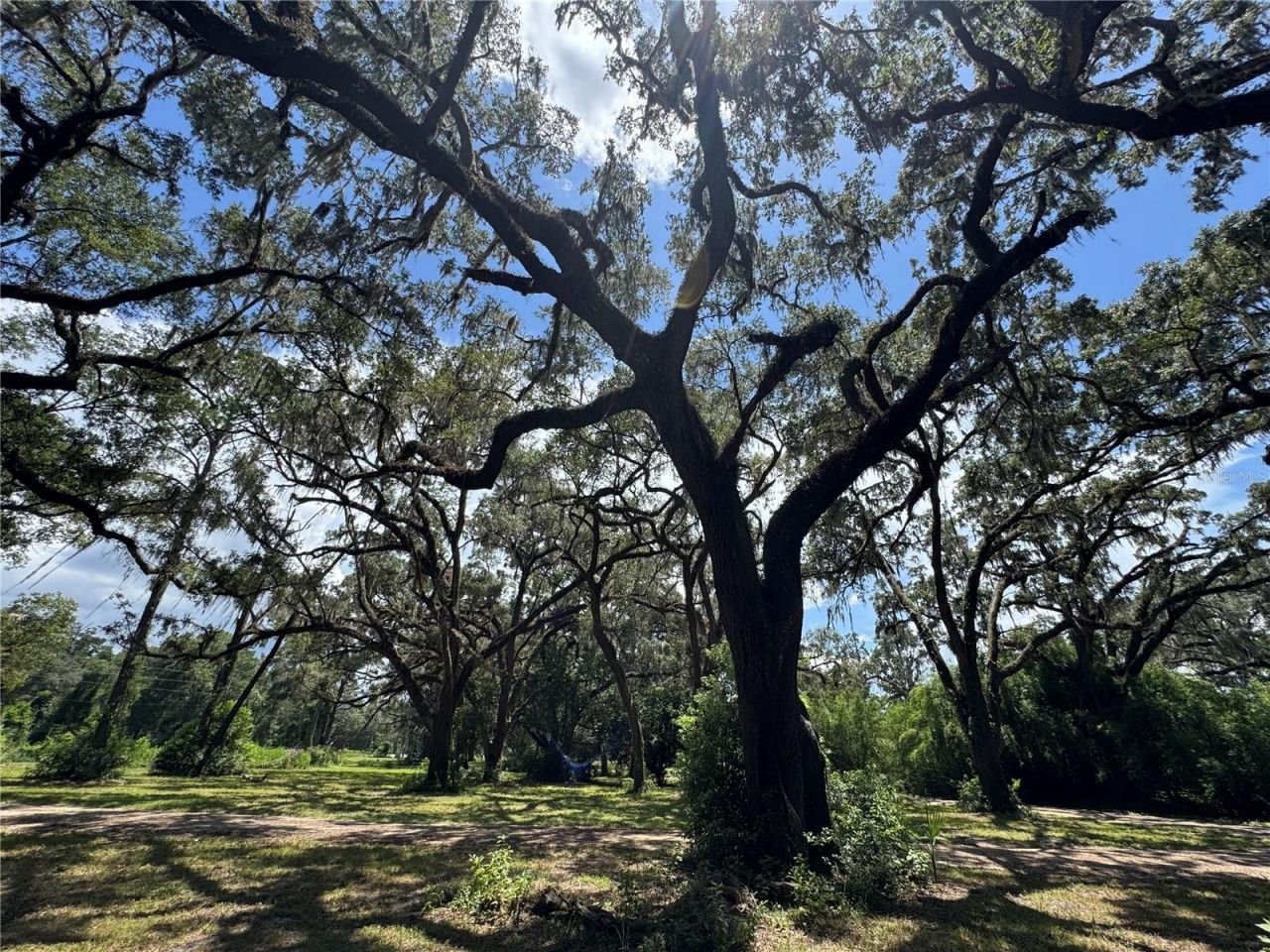 1220 N Us Highway 41, Dunnellon, FL 34432 Photo