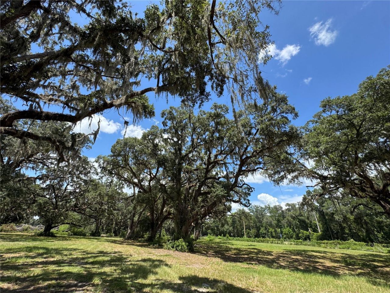 1220 N Us Highway 41, Dunnellon, FL 34432 Photo