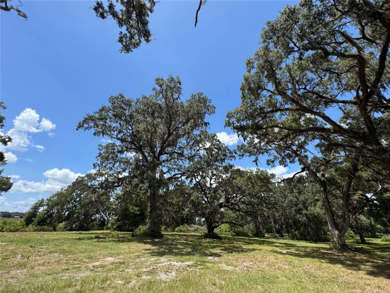 1220 N Us Highway 41, Dunnellon, FL 34432 Photo