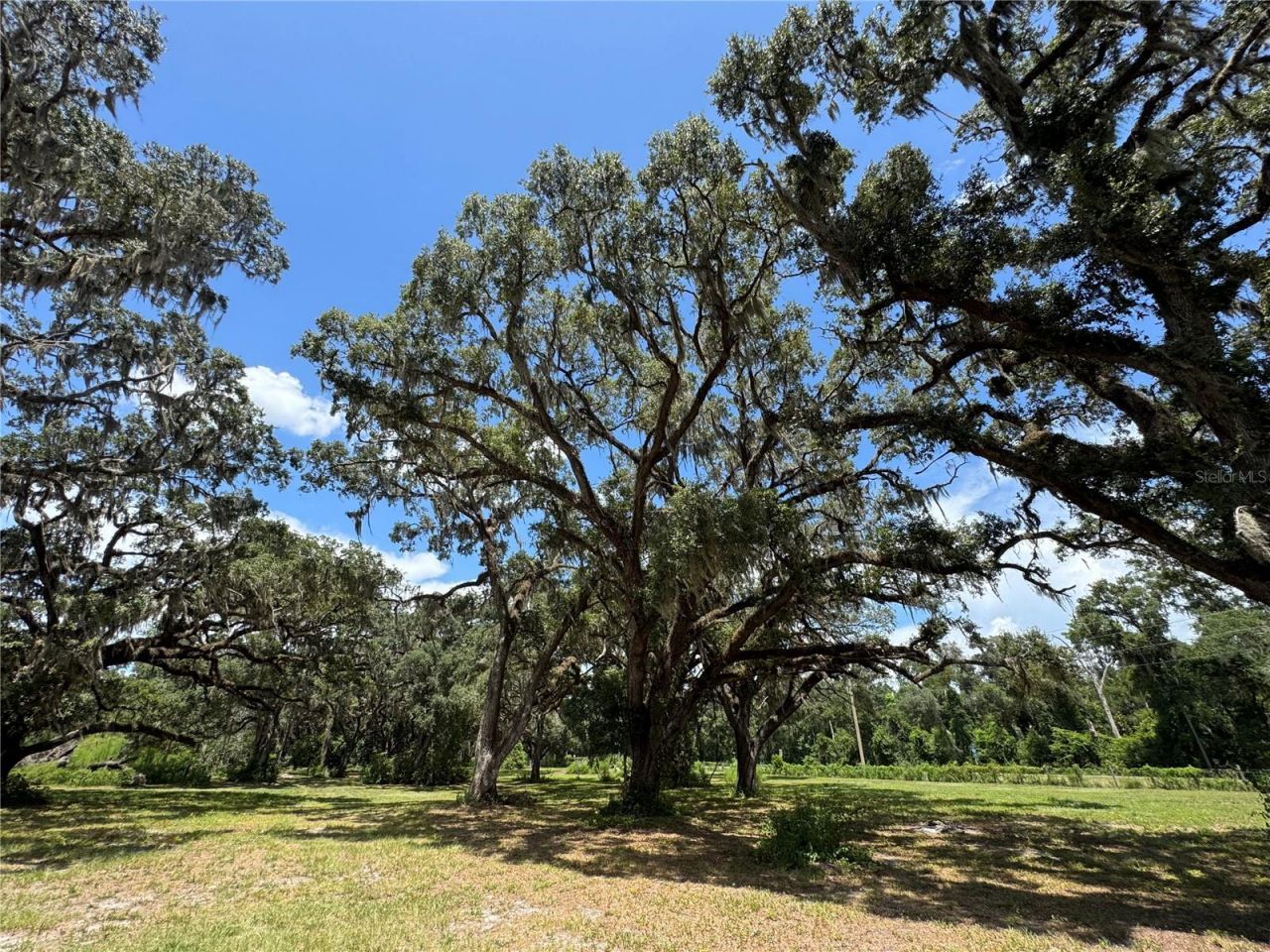 1220 N Us Highway 41, Dunnellon, FL 34432 Photo