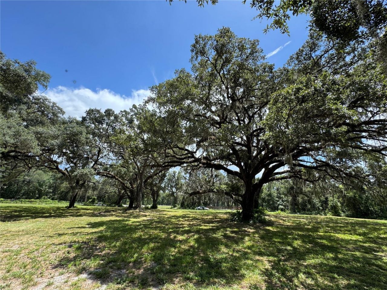 1220 N Us Highway 41, Dunnellon, FL 34432 Photo