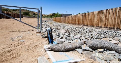 1247 Fuggles Drive, Sparks, NV 89441 Photo