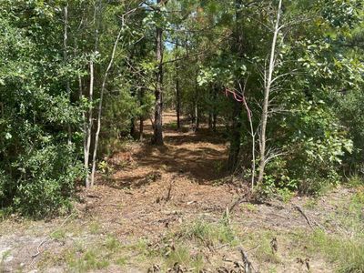 Ppf 11 Payne Pond Road, Unit Ppf 11, Westville, SC 29175