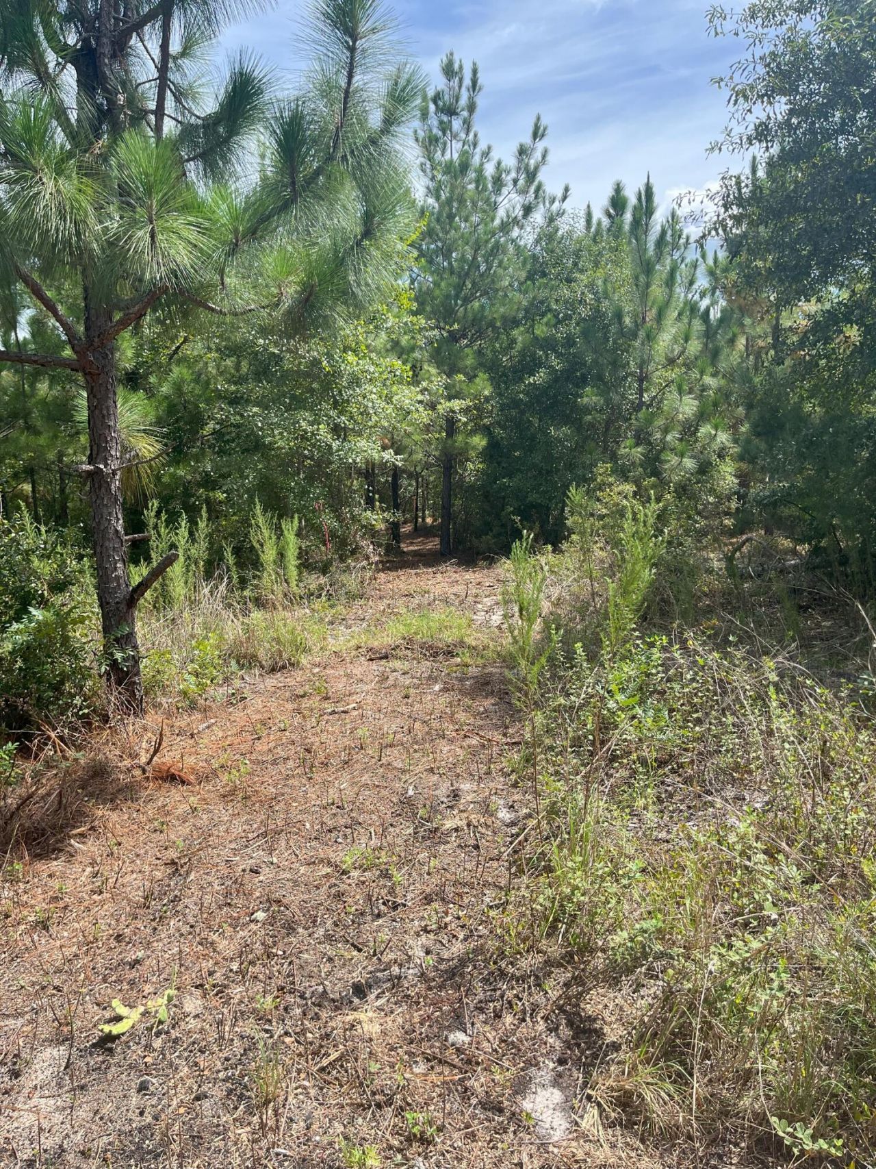 Ppf 11 Payne Pond Road Photo 10