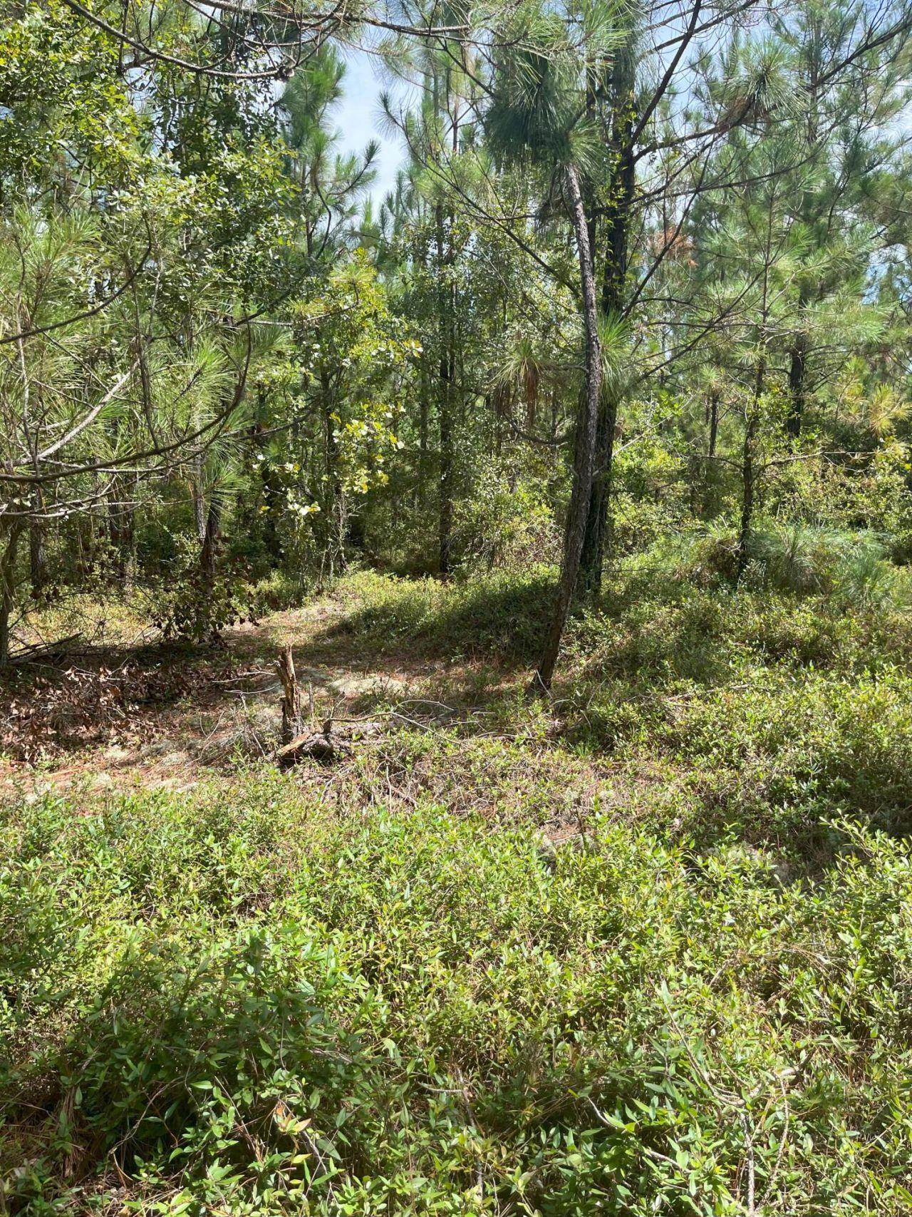 Ppf 11 Payne Pond Road Photo 11