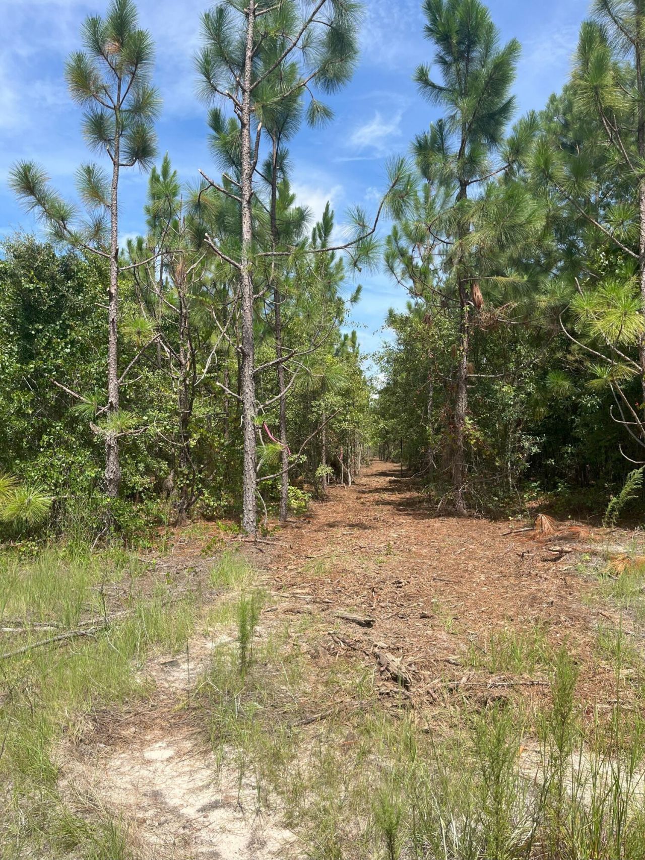 Ppf 11 Payne Pond Road Photo 5