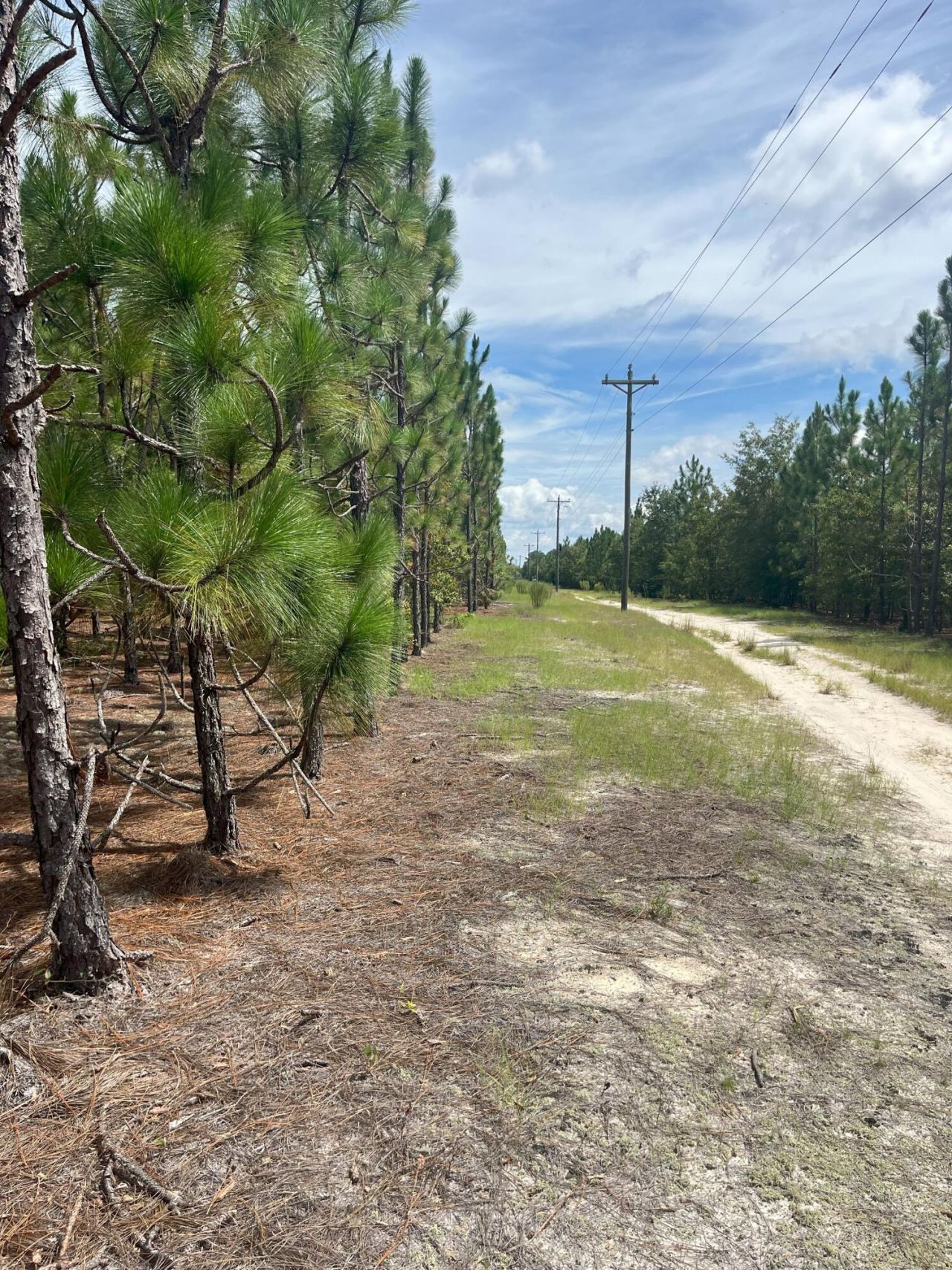 Ppf 11 Payne Pond Road Photo 9