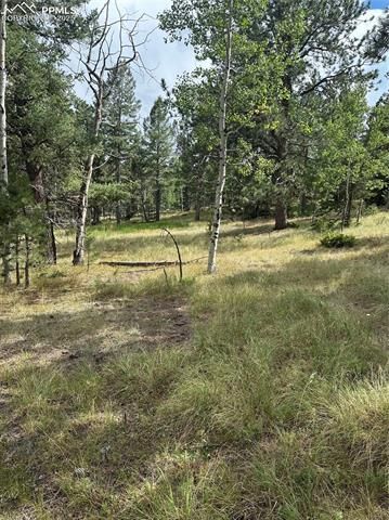 17 And 33 Deer Ridge Trail, Florissant, CO 80816 Main Photo