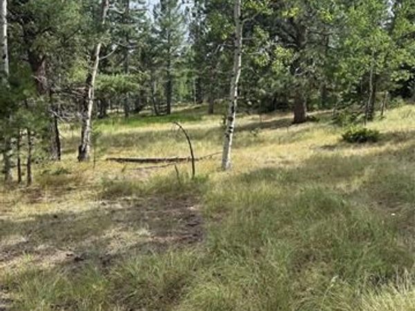 17 and 33 Deer Ridge Trail, Florissant, CO 80816