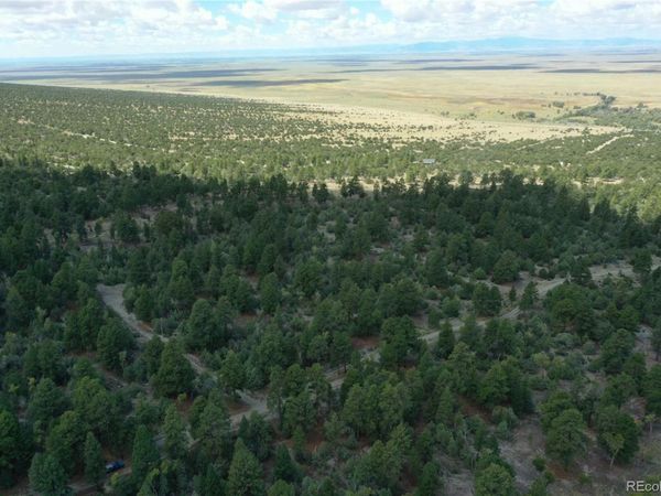 Big Bear Road, Mosca, CO 81146