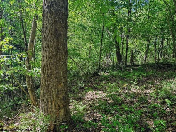 3372 Dinkenberger Road, Kingwood, WV 26537
