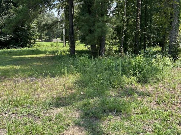 0 Faulkner Cove, Terry, MS 39170