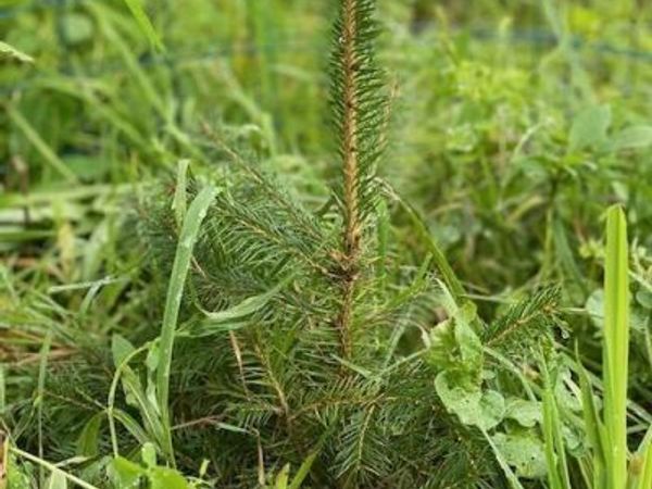 84 Baertschi Road, Hoosick Falls, NY 12090