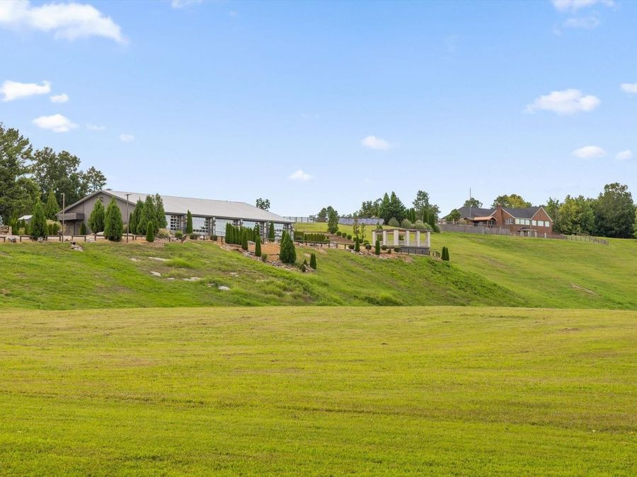 Property Image 179