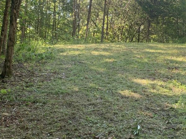 Vera Lane, Dandridge, TN 37725
