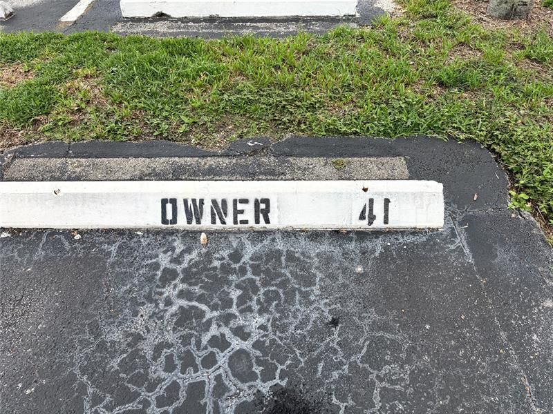 3905 N Nob Hill Road, Unit 205, Sunrise, FL 33351 Photo