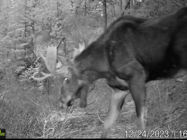 1733 Old Addy Rd, Addy, WA 99101