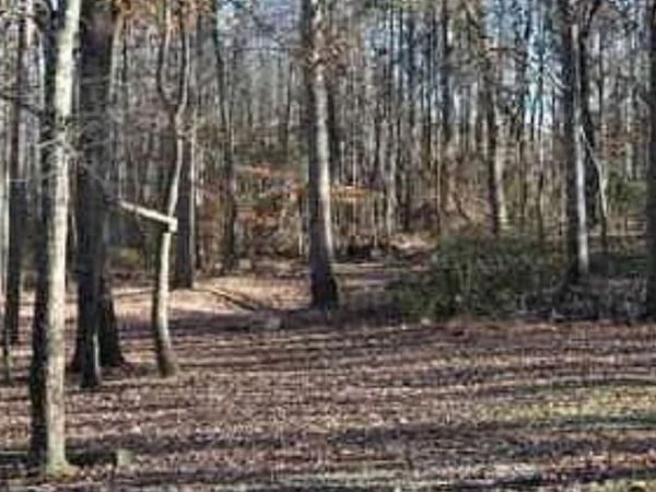 0 Hwy 124, Hoschton, GA 30548