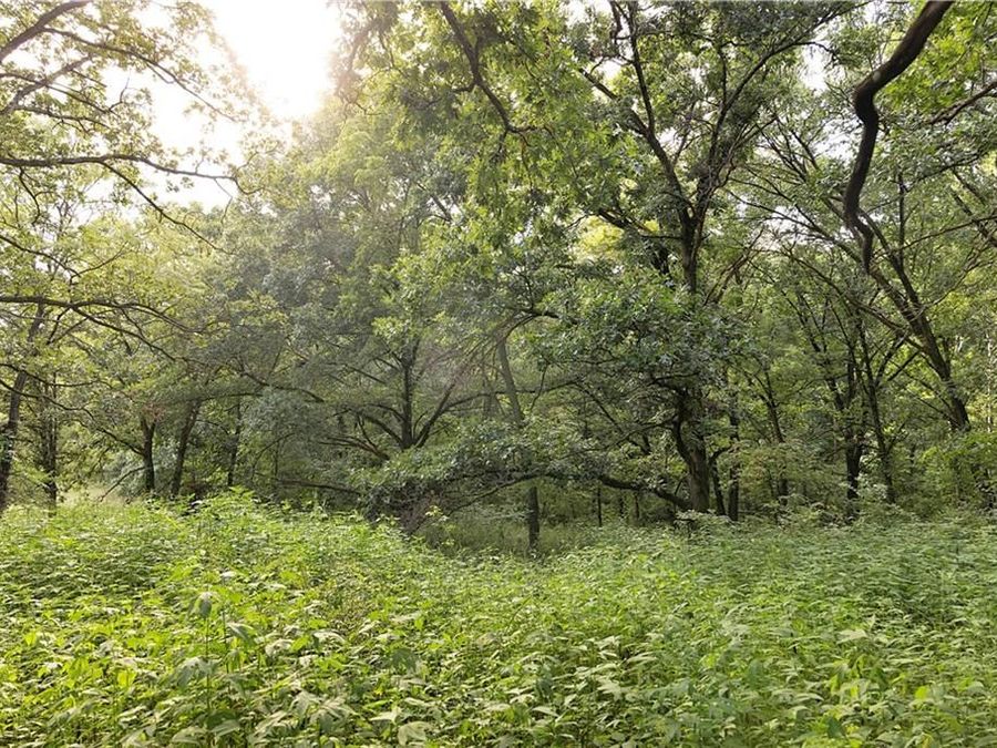 Property Image 31