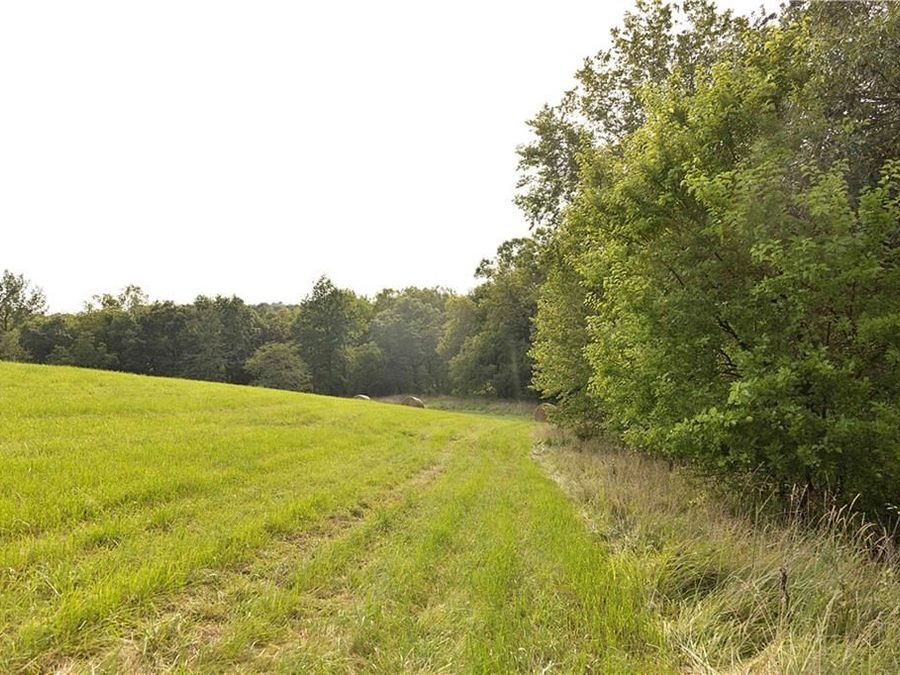 Property Image 35