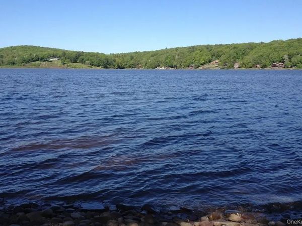 Lot 23 Woodstone Trail, White Lake, NY 12720
