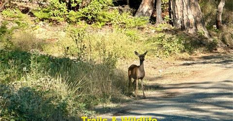 Azalea Ln, Berry Creek, CA 95916 Photo
