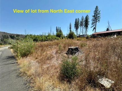 Azalea Ln, Berry Creek, CA 95916 Photo