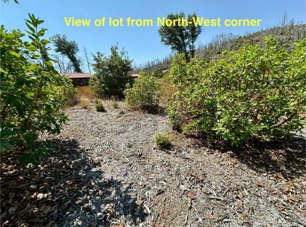 Azalea Ln, Berry Creek, CA 95916 Photo