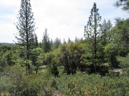 24271 Hoyt Crossing Rd, North San Juan, CA 95960 Photo