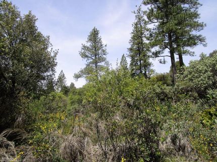 24271 Hoyt Crossing Rd, North San Juan, CA 95960 Photo