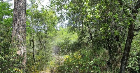 24271 Hoyt Crossing Rd, North San Juan, CA 95960 Photo
