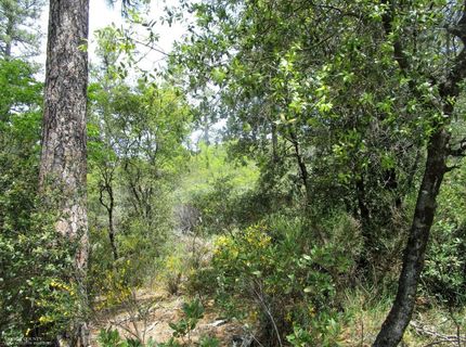 24271 Hoyt Crossing Rd, North San Juan, CA 95960 Photo