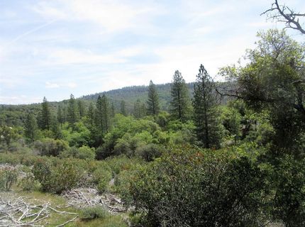 24271 Hoyt Crossing Rd, North San Juan, CA 95960 Photo